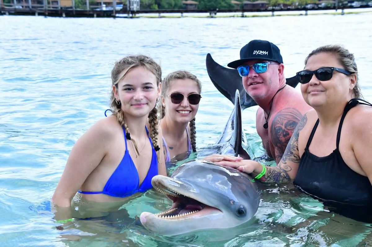 Dolphin Encounter
